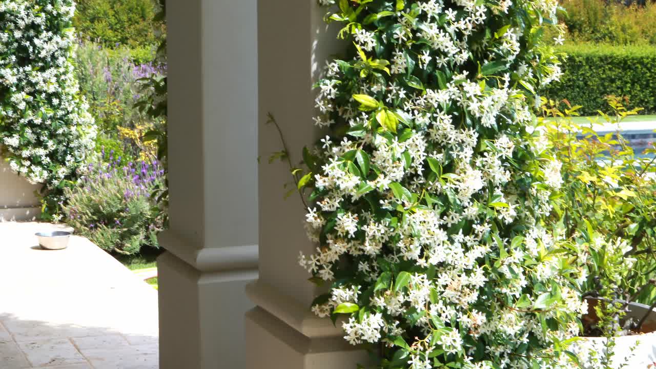 소파 의자와 함께 복도 내부