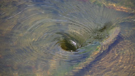 view of natural whirlpool in water 01