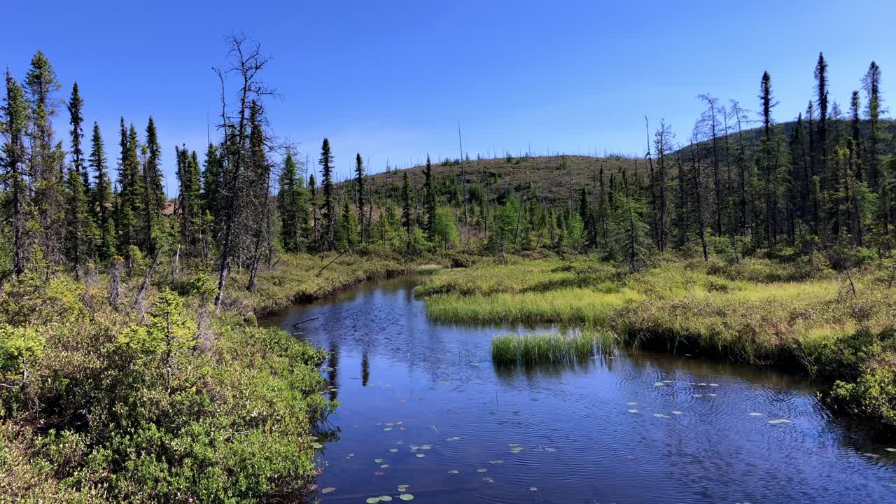 Clear beautiful blue sky with flowing river and stream, tree and grass-lined river bank
