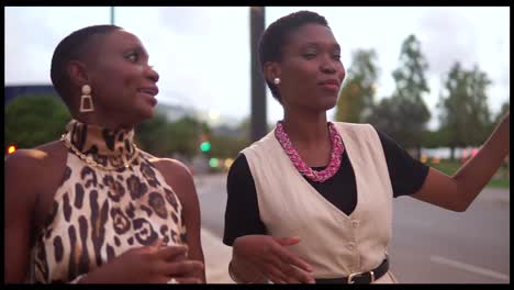 Stylish-elegant-black-women-strolling-on-street-and-chatting