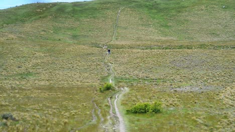 hikers on a path within green plains in windy conditions