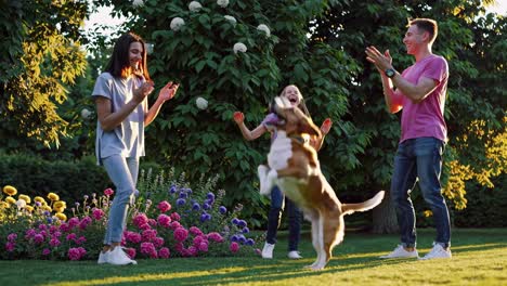 a joyful family video captures a dog leaping mid-air in a garden. shot at eye level, it showcases