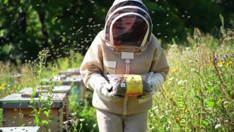 a beekeeper in protective gear tending to hives while surrounded by blooming flowers and flying bees in a vibrant garden setting, emphasizing the harmony of nature and apiary work