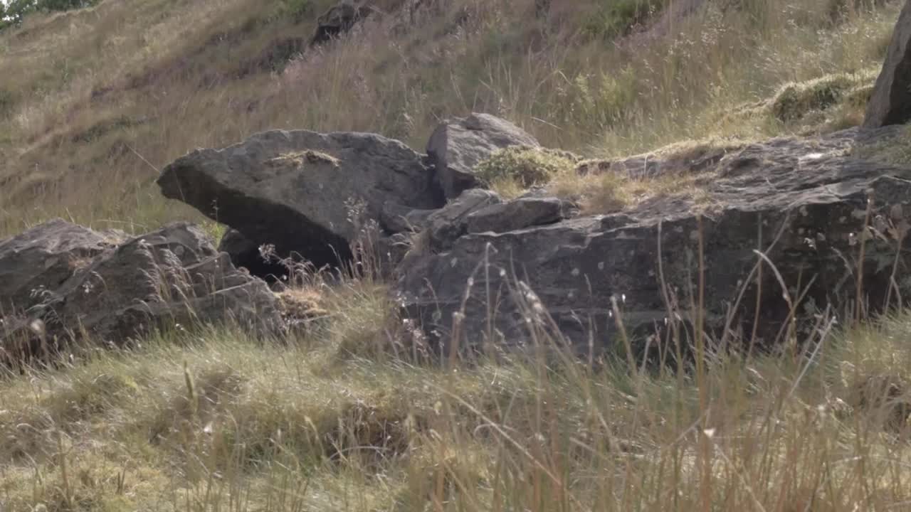 바위가 있는 요크셔 황무지 중간 샷