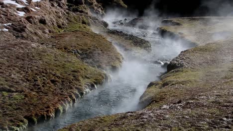 steam rising from a stream heated by geothermic atctivity