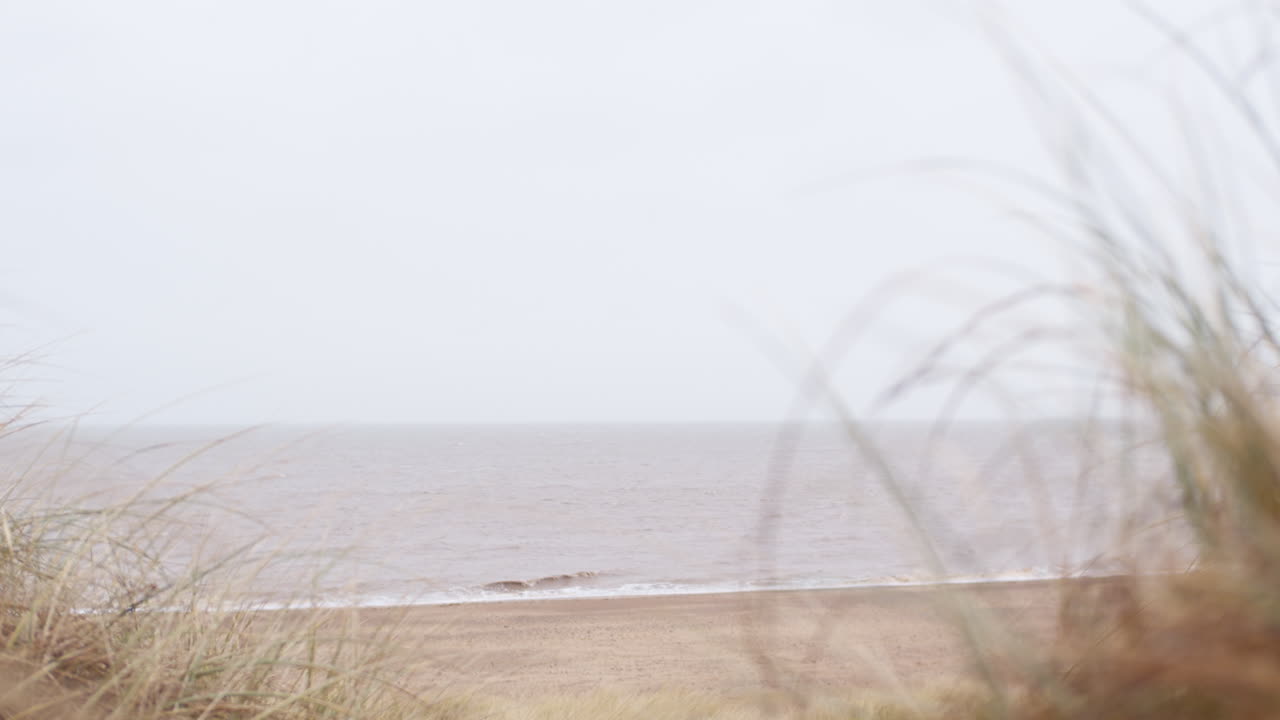 Serene Beach View on an Overcast Day