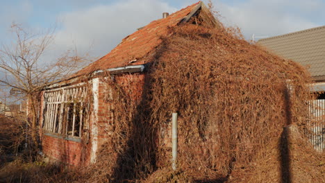 abandoned brick structure covered in ivy