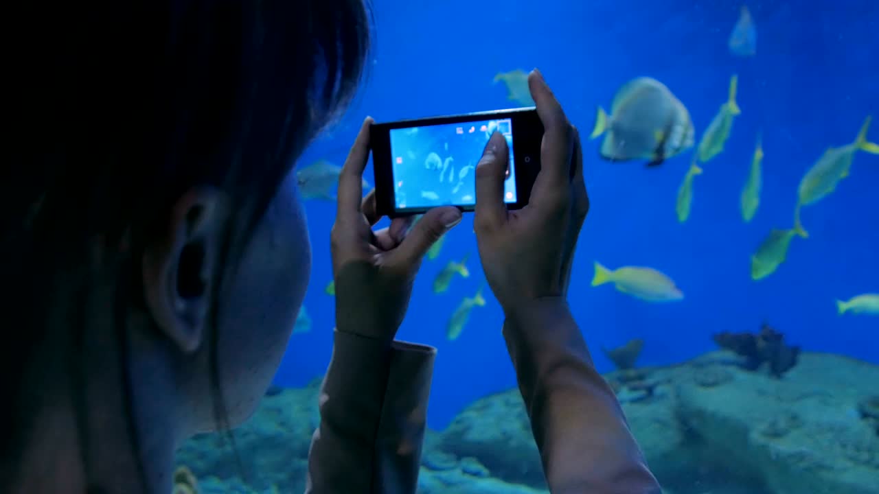 una mujer tomando fotos de peces con su teléfono inteligente.