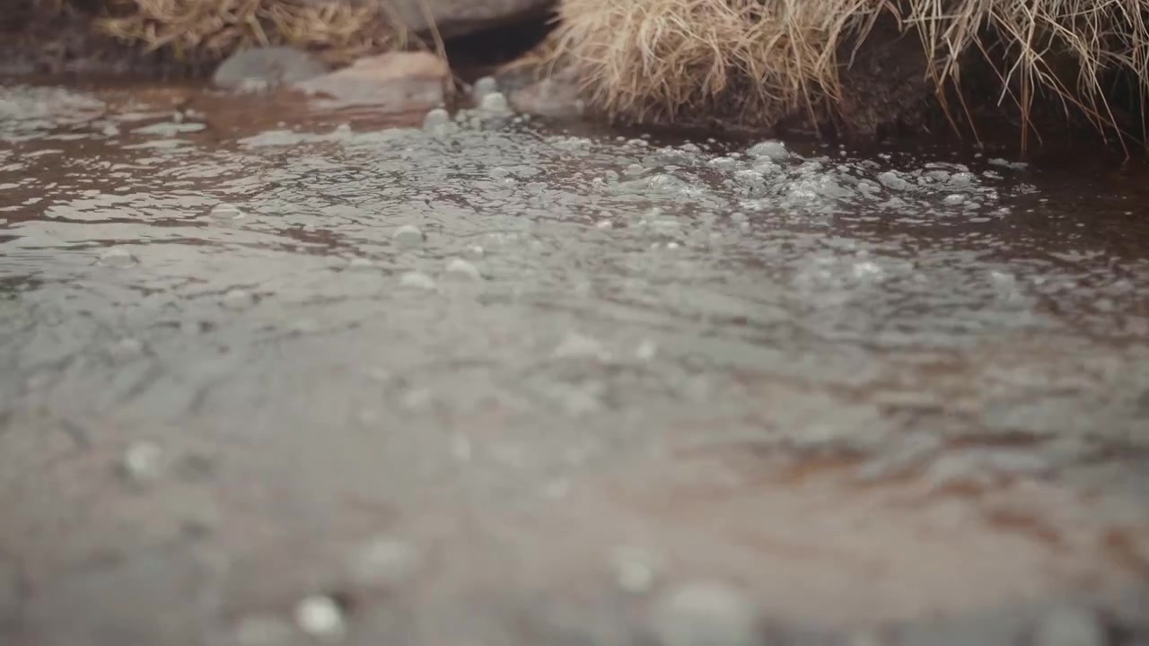 Primo piano di acqua che scorre e gorgoglia in un piccolo ruscello.
