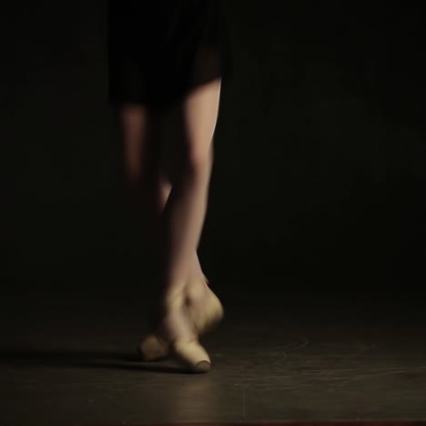 Young Ballerina Posing In Studio
