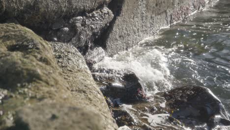 Idyllische-Küstenlandschaft,-Meerwasser,-Felsen,-Stein,-Moos,-Zeitlupe