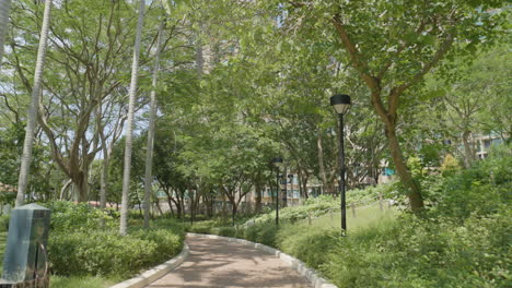 una foto de un parque tranquilo en hong kong, asia.