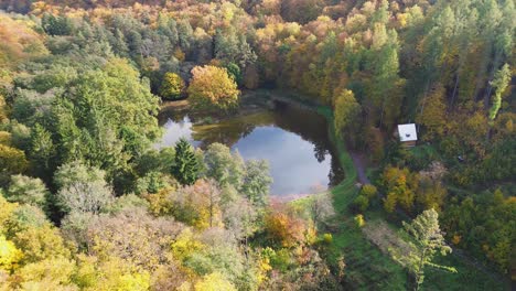 a view of a small pond from a height above colorful trees in autumn