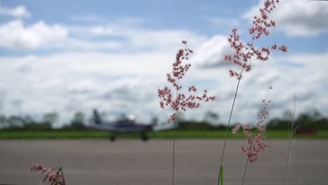 plane in the background on the runway