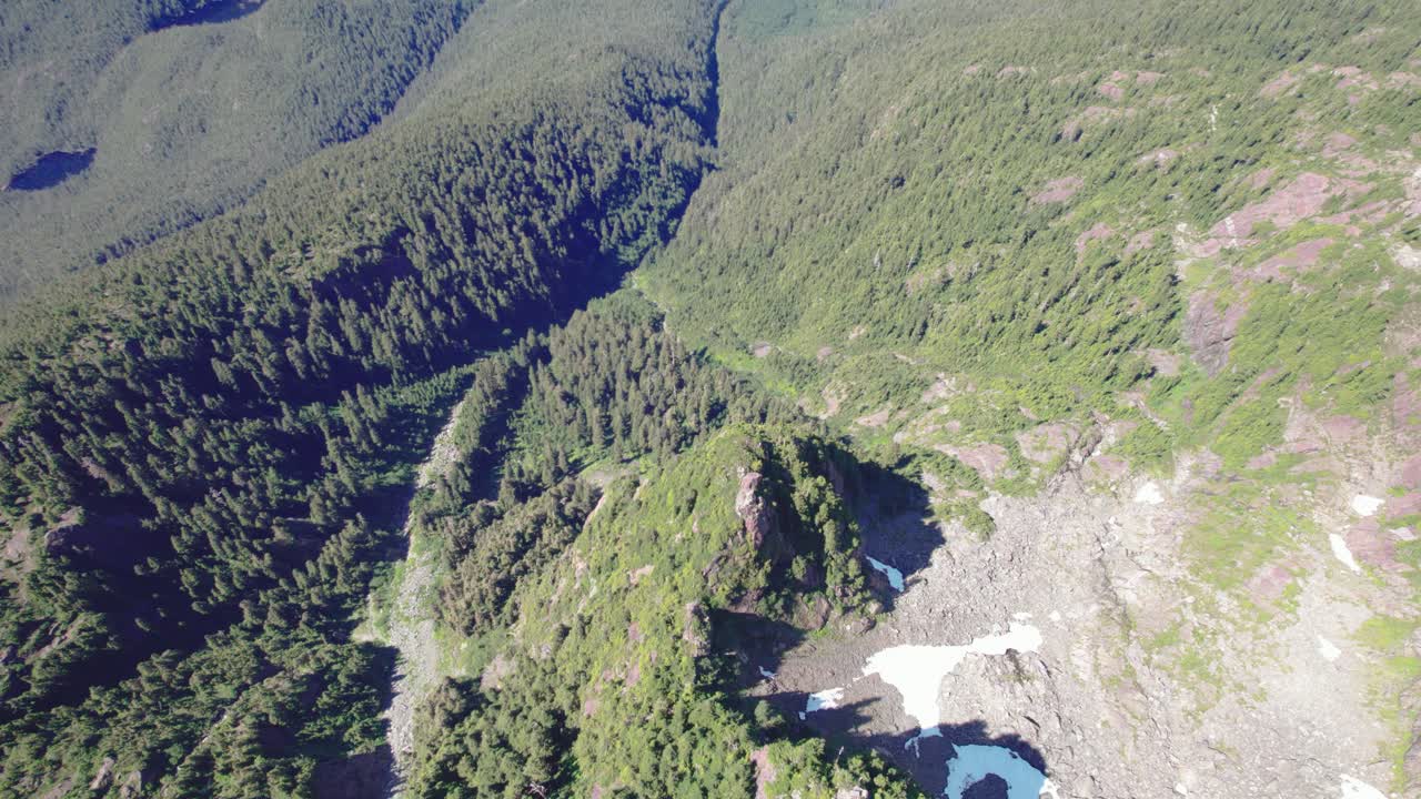 숲이 우거진 산 정상 회담 공중 비행 - mackenzie range, vancouver island, bc, canada