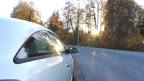 coche en un bosque con un pico de puesta de sol