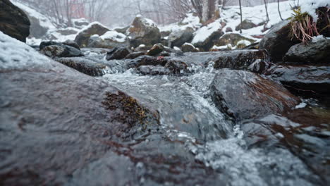 snow-covered creek flowing over rocks in a serene winter forest setting