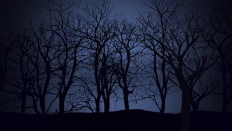 mystical forest in night with dark sky