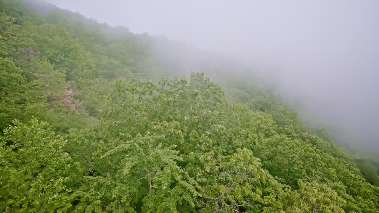 Cinematic sweeping drone shot with mountains lost in haze