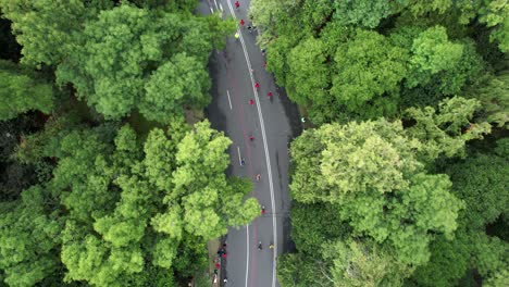 Toma-Aérea-De-Los-Corredores-Del-Maratón-De-La-Ciudad-De-México-Mientras-Pasan-Por-El-Bosque-De-Chapultepec