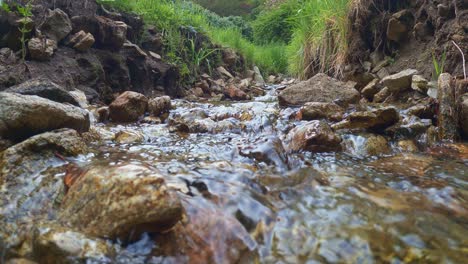 low angle surface pov of small narrow water stream in woods running through rocks