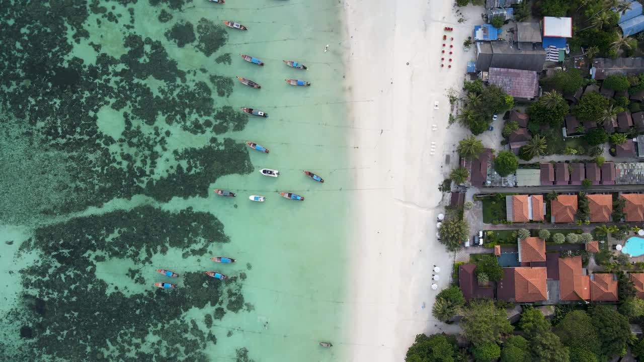 청록색 바다에 정박해 있는 롱테일 보트와 함께 파타야 해변 위로 날아다니는 공중 새의 눈