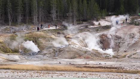 steam vents cover the hillside in yellowstone national park