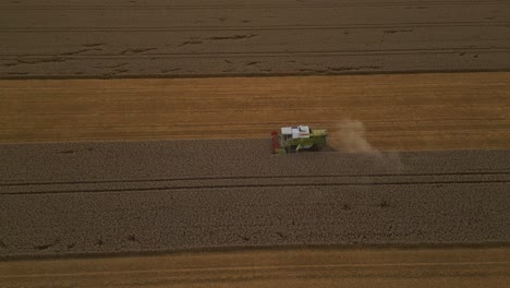 Campo-De-Cosecha-De-Cultivos-De-Trigo-Con-Cosechadora