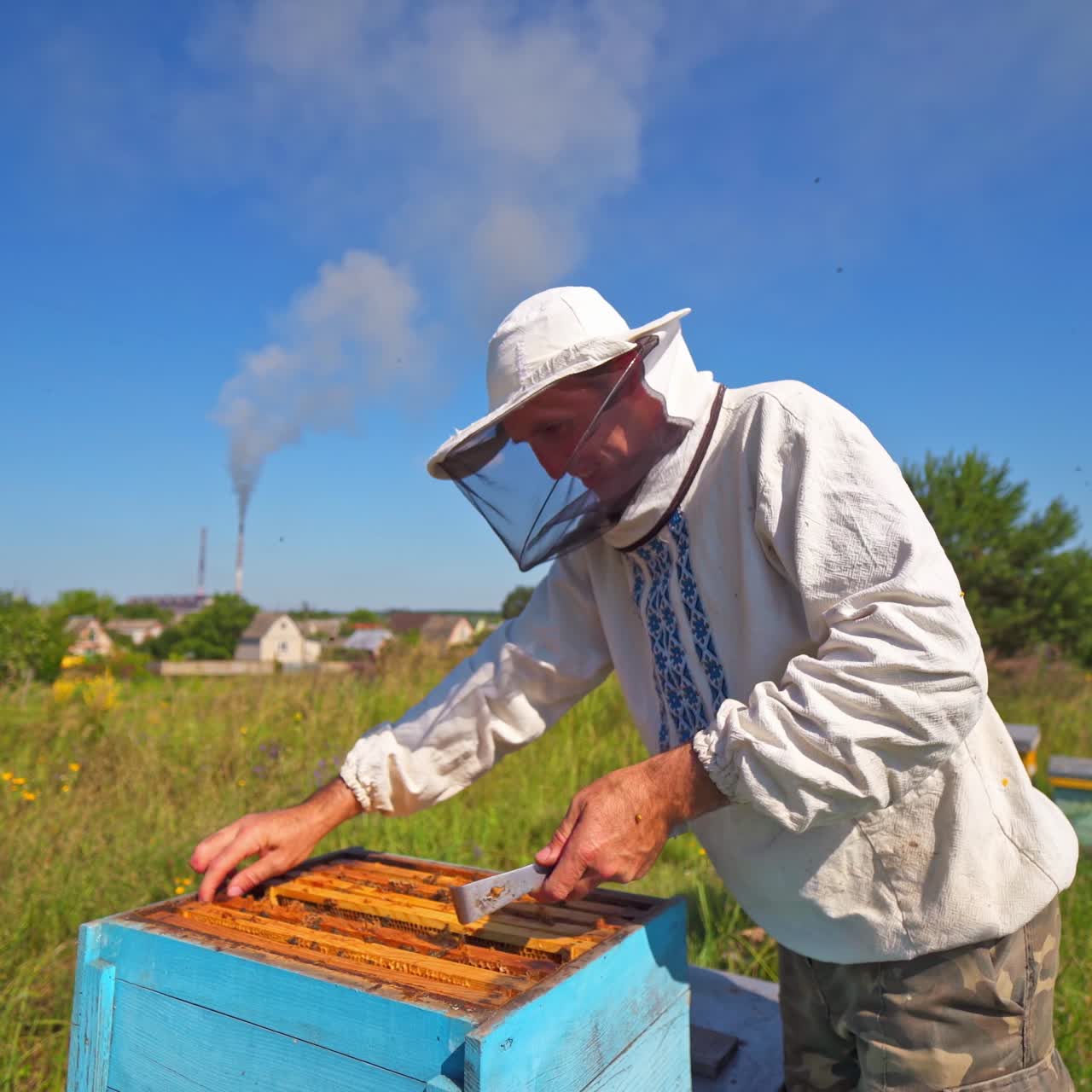 Beekeeper near the hives in nature. Apiculturist in protective hat working on apiary in rural place. Apiary on the background of industrial pipes with smoke.