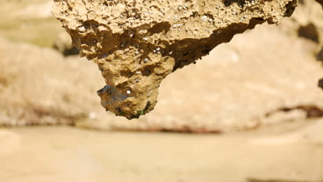 Water-dripping-off-the-base-of-a-sand-stone-rock-formation-at-a-coastal-beach