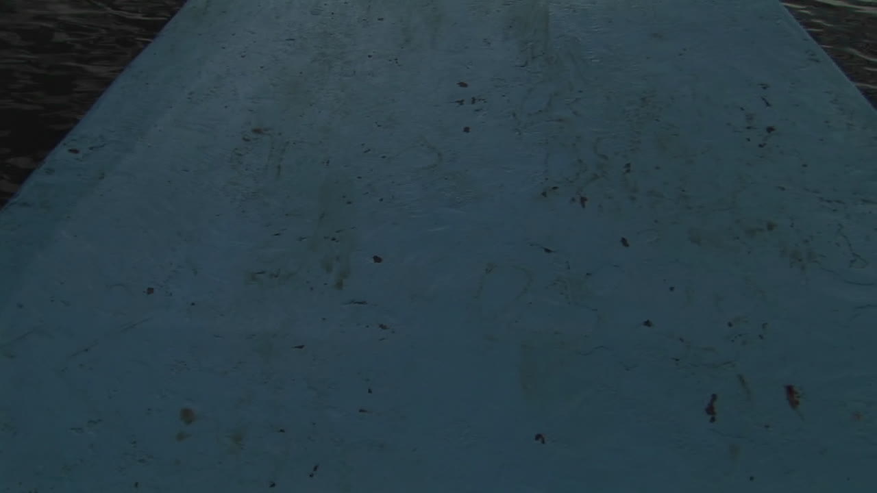 우간다 빅토리아 호수 기슭에서 출발하는 어선의 시점 1