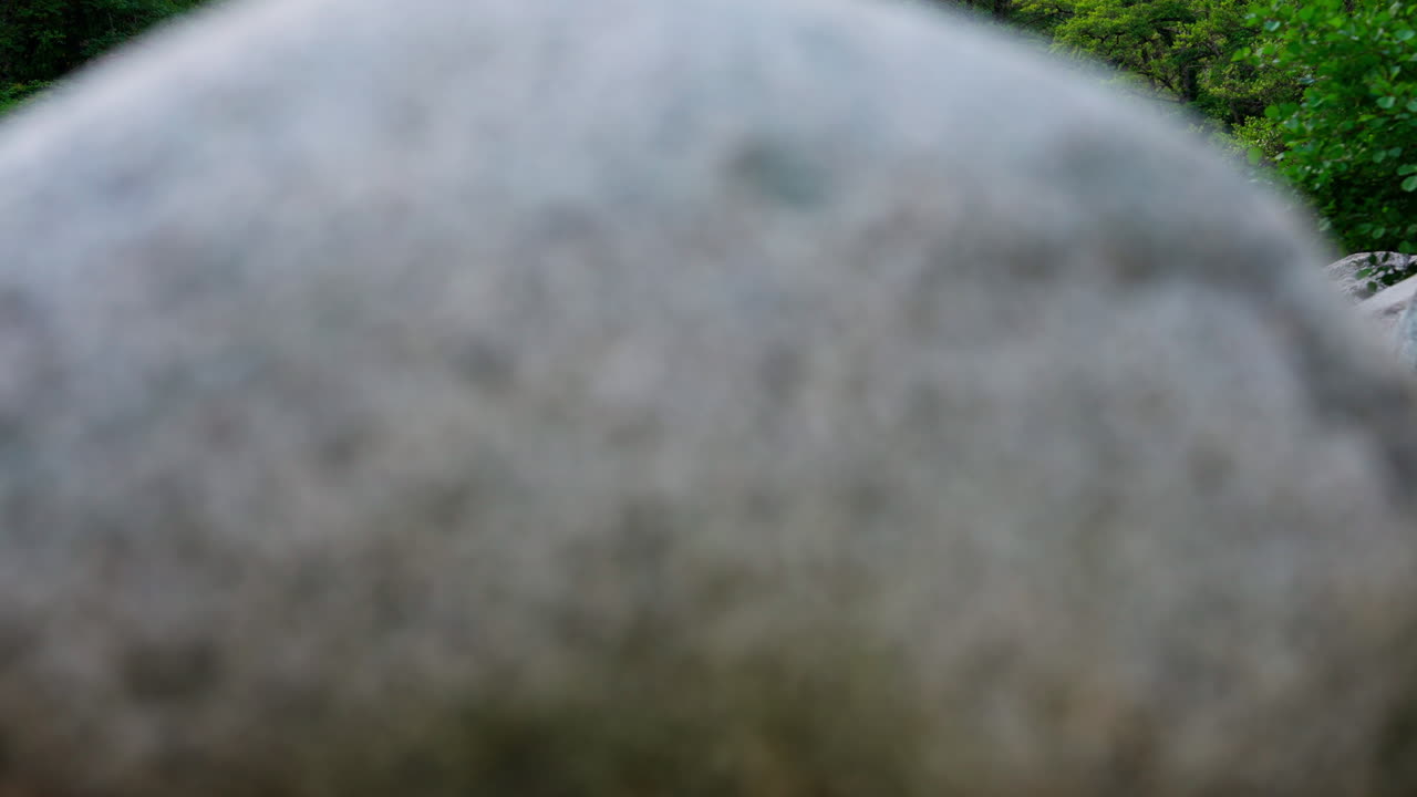 Piccolo fiume che scorre nella foresta ricoperta di calcari bianchi