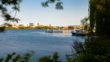 beautiful time lapse view through bushes and tree of außenalster with many sailing boats and canoes passing by on sunny day in hamburg, germany