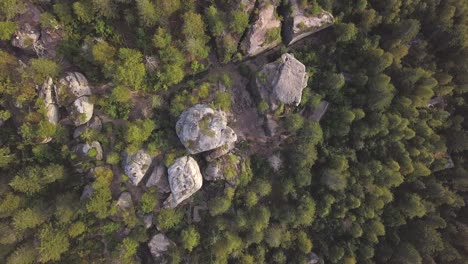 vista aérea del paisaje del bosque rocoso