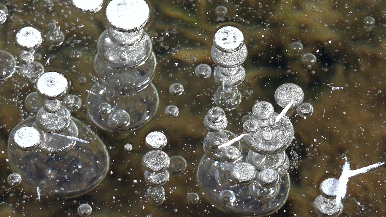 凍った湖の表面の下に閉じ込められた気泡