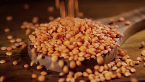 lentils red. the lentil (lens culinaris or lens esculenta) is an edible legume.