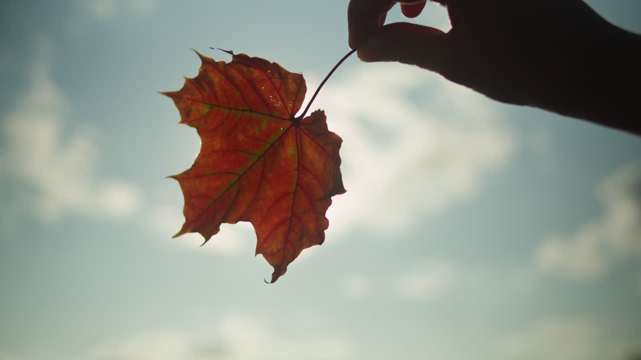 Hand Holding Autumn Maple Leaf Against a Cloudy Sky