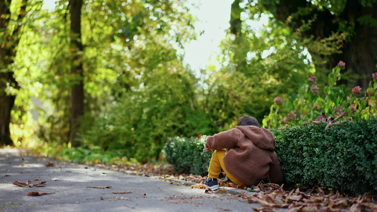Lovely toddler boy picks a chestnut in the park. Smiling kid runs up to camera and throws a chestnut happily.