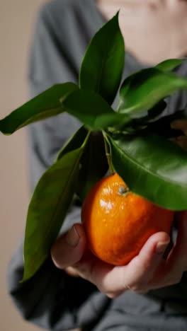 person holding a fresh mandarin orange with green leaves