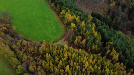 Agriculture-meadows-and-forest-with-autumn-colors,-aerial-view