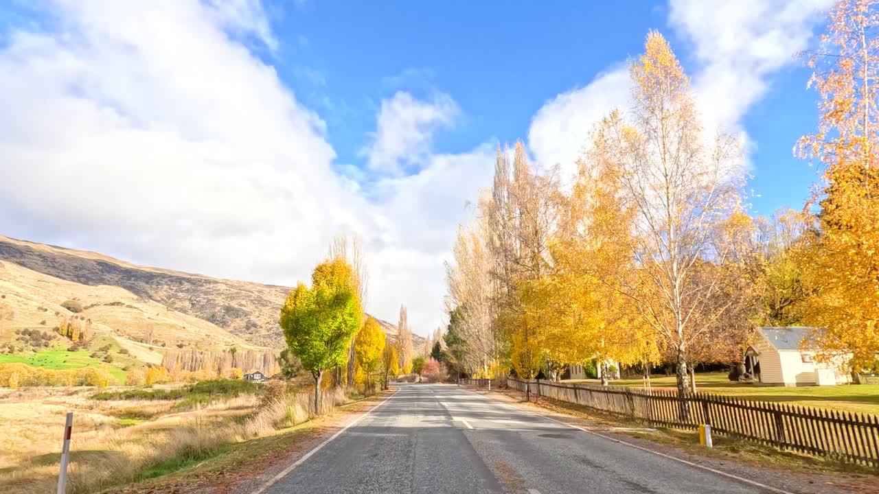 A picturesque drive through vibrant autumn landscapes in New Zealand, showcasing colorful foliage and serene rural roads