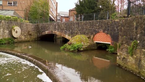 4k-Alte-Fußgängerbrücke-Aus-Stein-über-Einen-Nebenfluss-Des-Flusstons-In-Taunton,-Alter-Mühlstein,-Der-Eine-Der-Wände-Neben-Dem-Nebenfluss-Schmückt