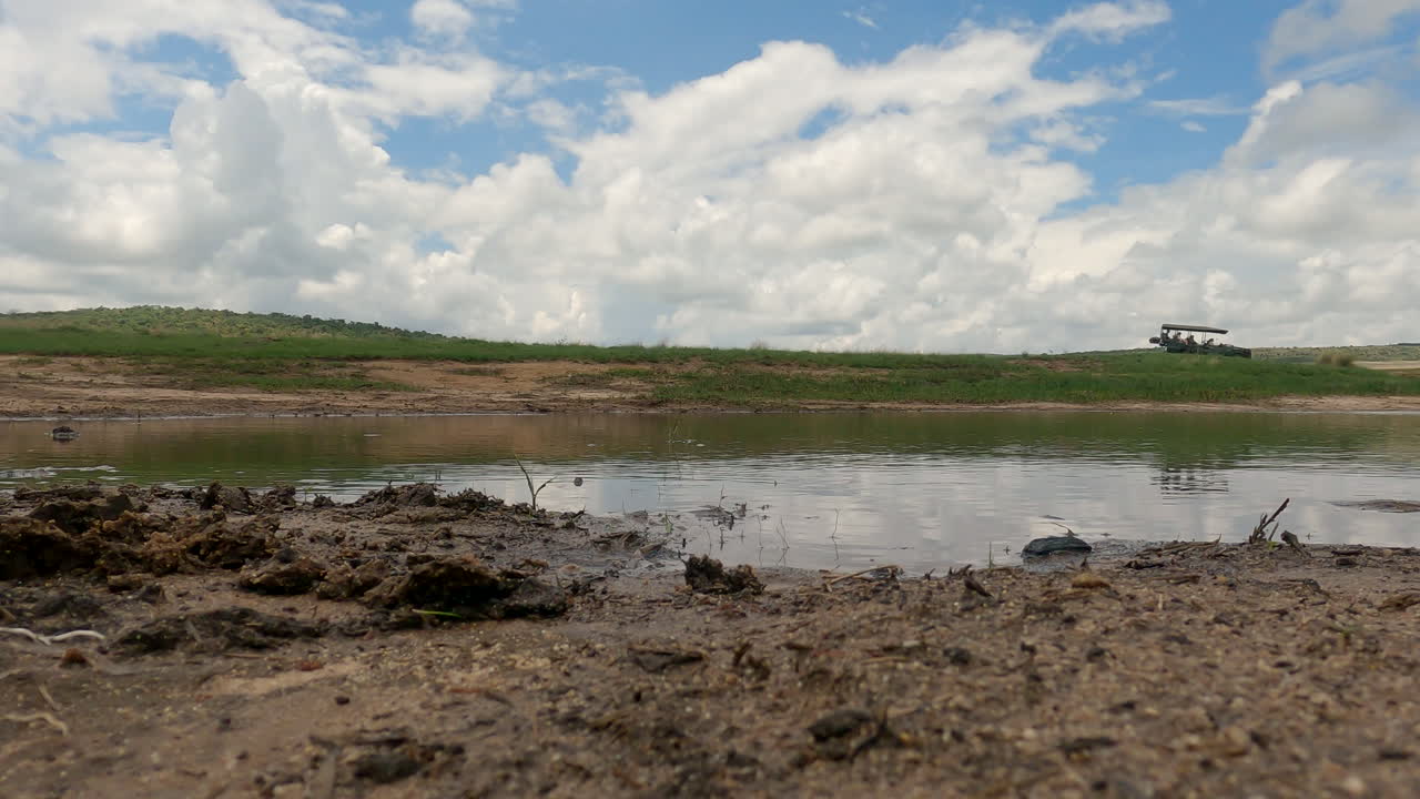 un vehículo de safari conduce a lo largo de una orilla del río bajo un cielo nublado en una sabana serena