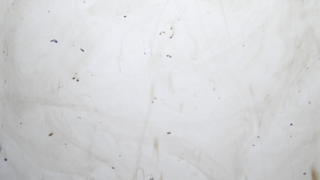 油色を水に落とす