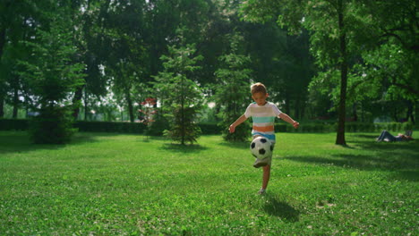 little boy kicking soccer ball. focused child practicing in summer park alone.