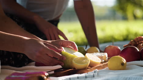 Woman-cutting-fruits-in-the-park