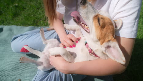 woman holding a happy jack russell terrier