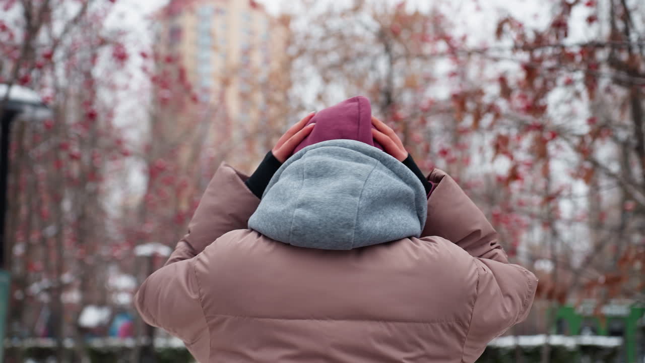 추운 겨울 공원을 걸어가는 사람의 뒷면, 따뜻함을 위해 베니를 조정하는 모습, 눈 인 땅, 은 열매가 있는 벌거벗은 나무, 그리고 흐릿한 배경