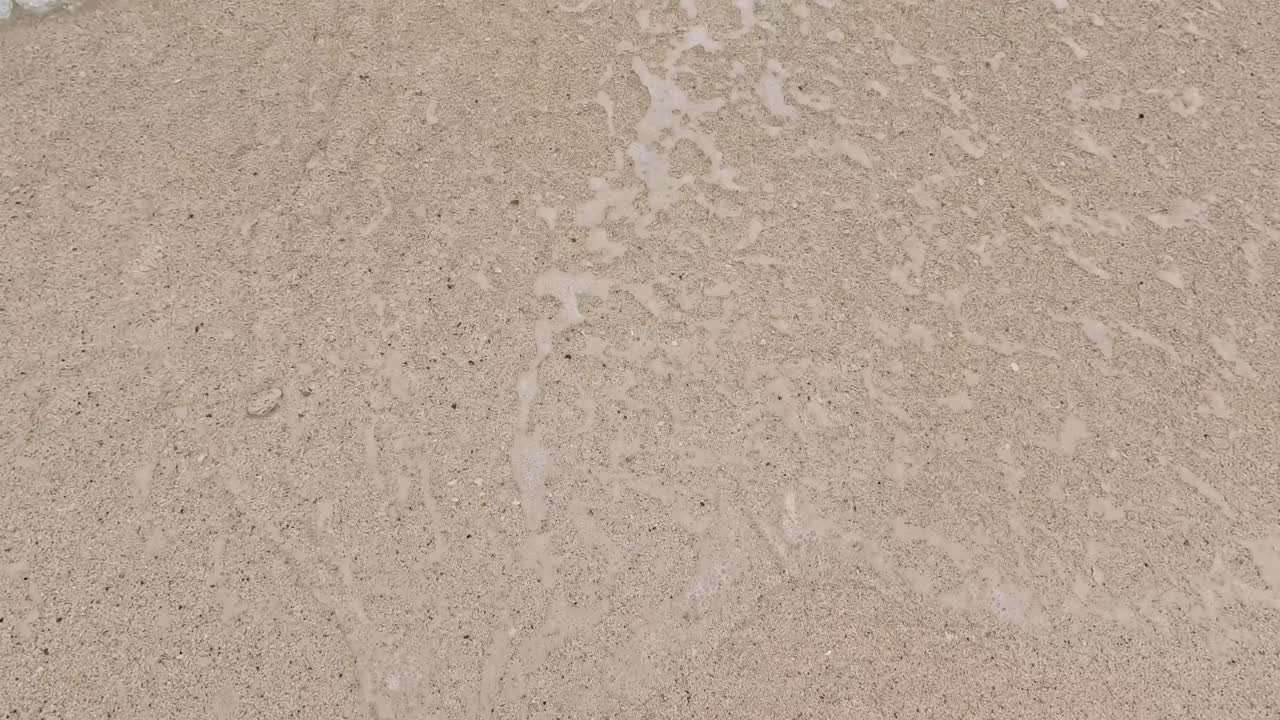 olas suaves en la orilla