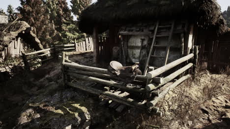 a rustic hut in the woods